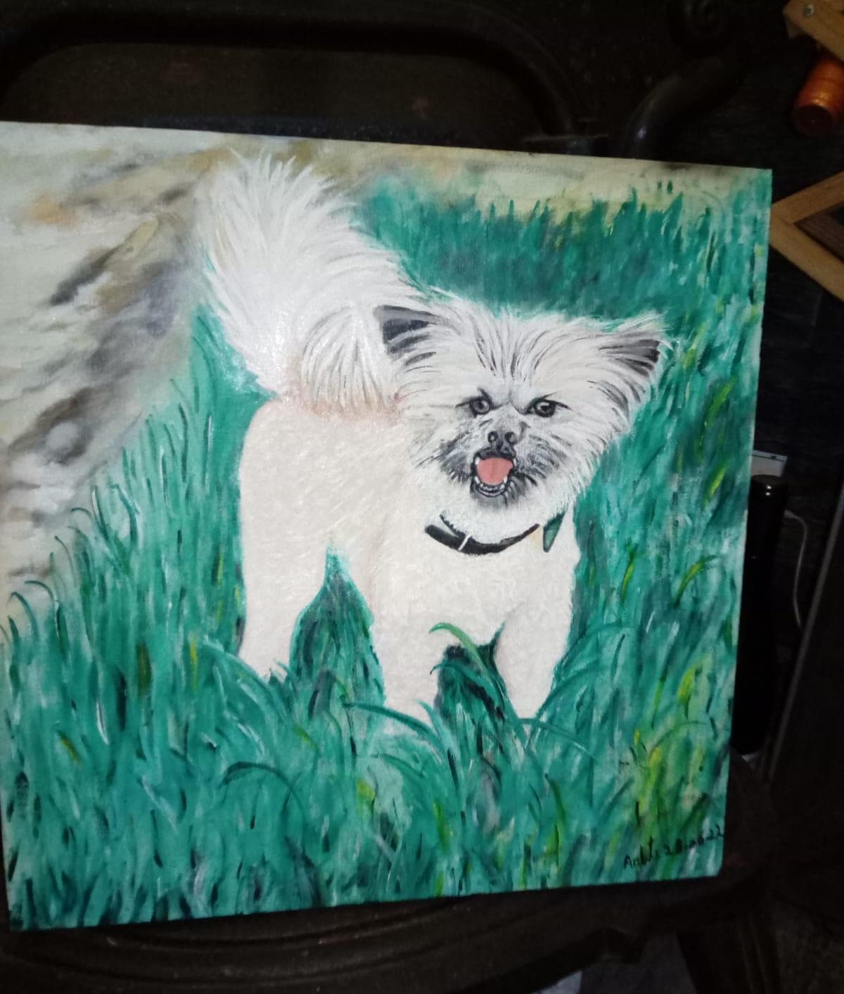 Arte Cachorro